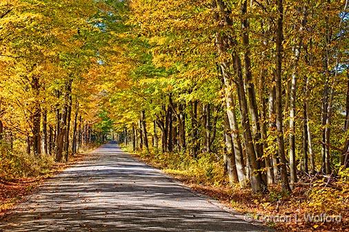 Cove Road In Autumn_17508.jpg - Photographed near Portland, Ontario, Canada.